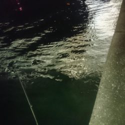 潮を見て実績ポイントでのヒット!