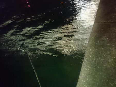 潮を見て実績ポイントでのヒット!