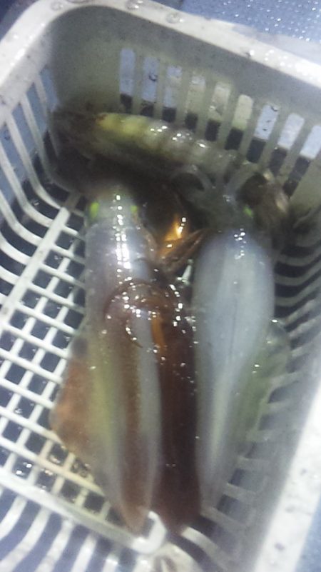 シーズン終了間際