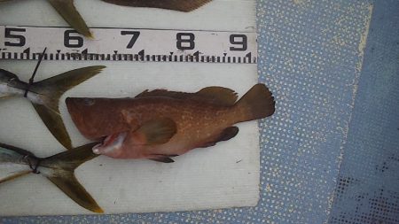 久しぶりの爆風ジギング