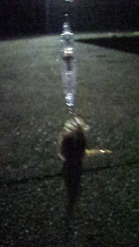 メバリング初挑戦