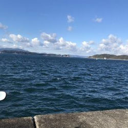 釣り釣り釣り〜