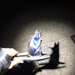 寒波が来る前に