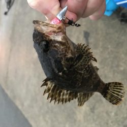 メバリング釣行