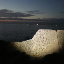 メジロ2バラシ、サゴ◎