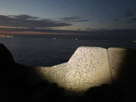 メジロ2バラシ、サゴ◎