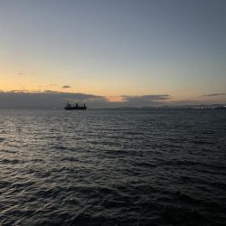 タチウオシーズン終盤