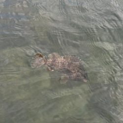 江井ヶ島漁港・江井ヶ島海岸