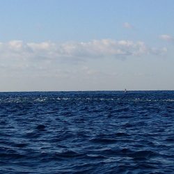 全く食い気がない中で