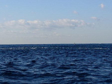 全く食い気がない中で