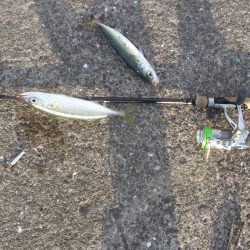 鳴尾浜魚釣公園