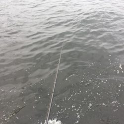 風も波もすごい！