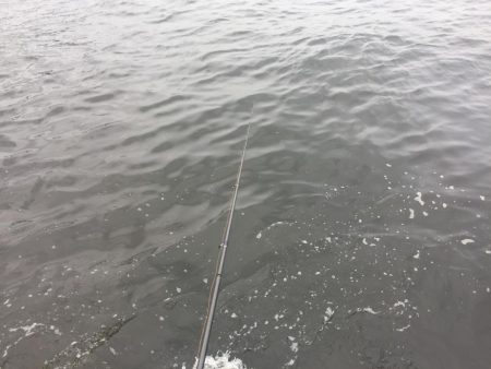 風も波もすごい！