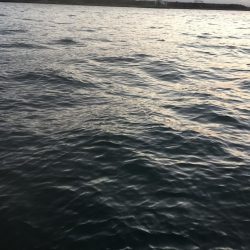 寒い！　渋い！