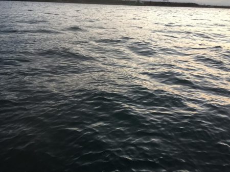 寒い！　渋い！