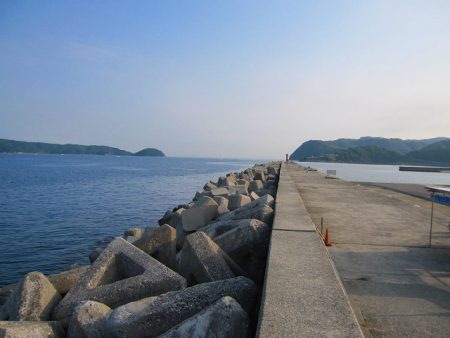 【サバ爆釣】ショアジグでサバ爆釣