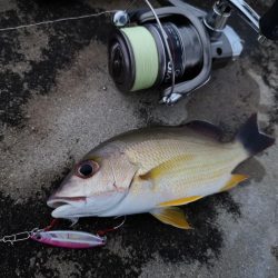 合わせが難しい 5バイトで1ヒット