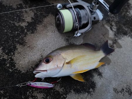 合わせが難しい 5バイトで1ヒット