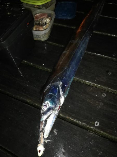 シーサイドでタチウオF5!