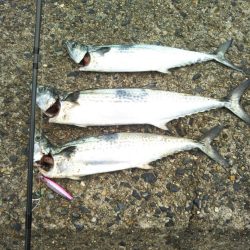 一時間半勝負！