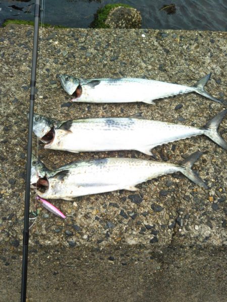 一時間半勝負！