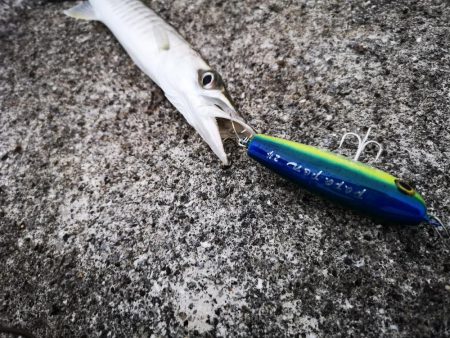 早朝の沖縄！長い魚だけヒットです。