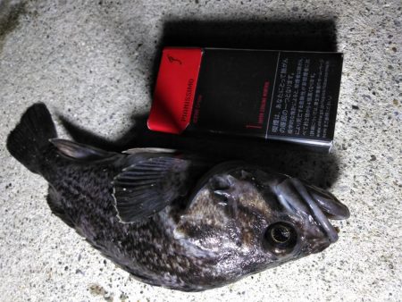 夜釣り〜朝まずめまで