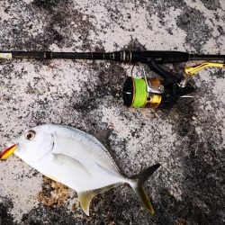 冷え込みで渋いです。