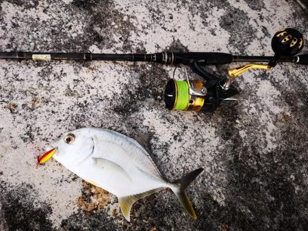 冷え込みで渋いです。