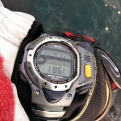 コッパグレ・ハゲ・・・・