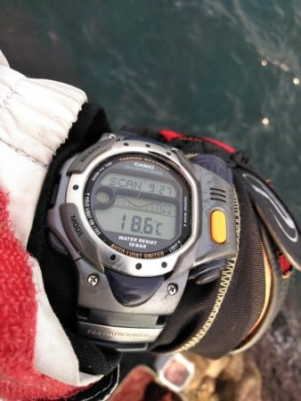 コッパグレ・ハゲ・・・・