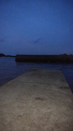 移動中に少しだけ