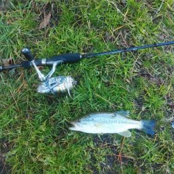 クリスマス家族サービス？