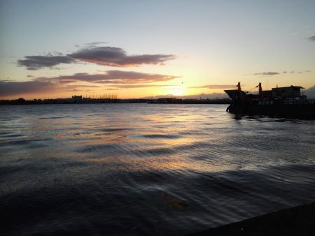 まだまだタチウオ居てますね