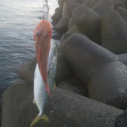 元旦釣行行きましたー