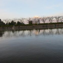 人生二本目のイトウをゲット！