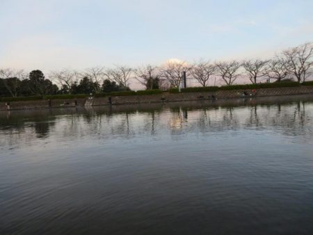 人生二本目のイトウをゲット！