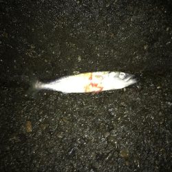 まだ可能性を感じる