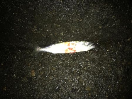 まだ可能性を感じる