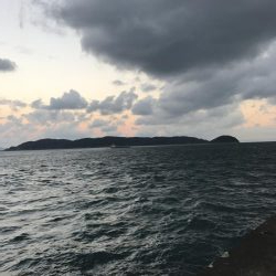 ヒットしたのに