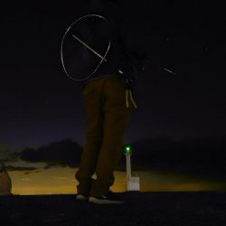 東風の時は川奈港。