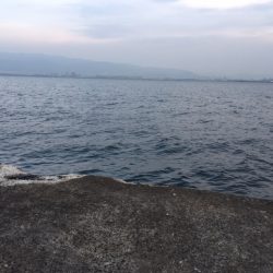 まだまだいけます　武庫一