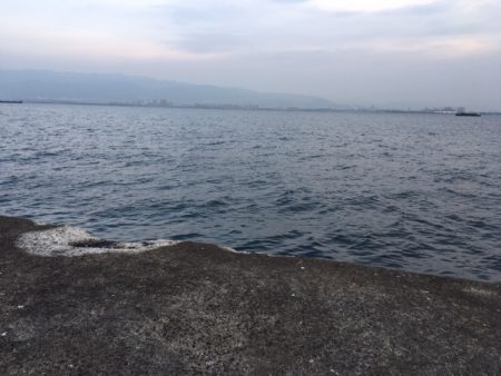 まだまだいけます　武庫一