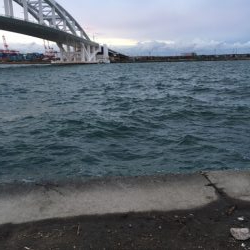 フカセ釣りのはずが