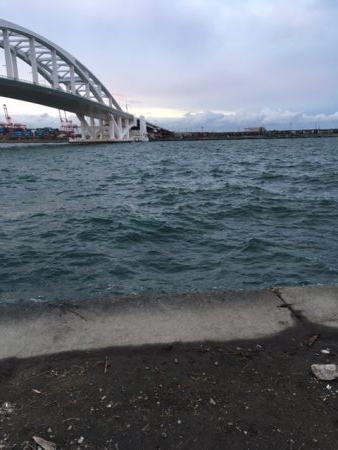 フカセ釣りのはずが