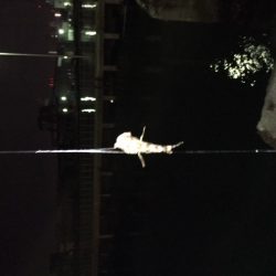 南港フェリーターミナル