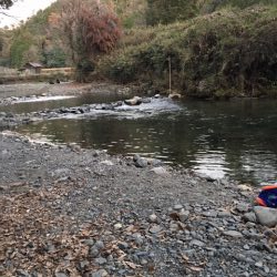 芥川管理釣り場