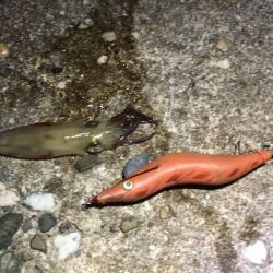 サタデーナイトフィーバー!!