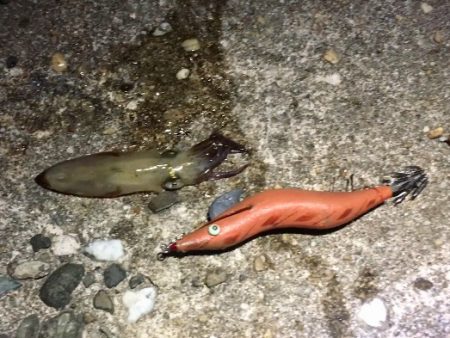 サタデーナイトフィーバー!!