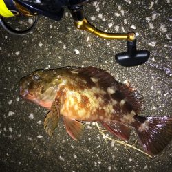 暖かいし  暇やし